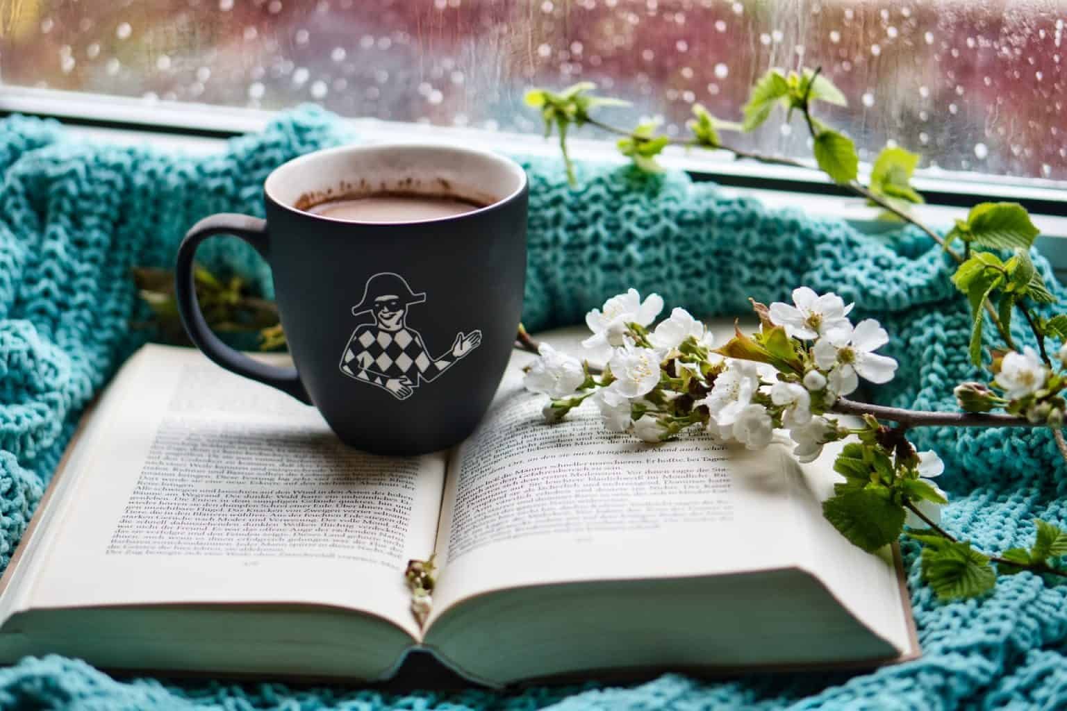 Best Books To Read On A Rainy Day & Night!
